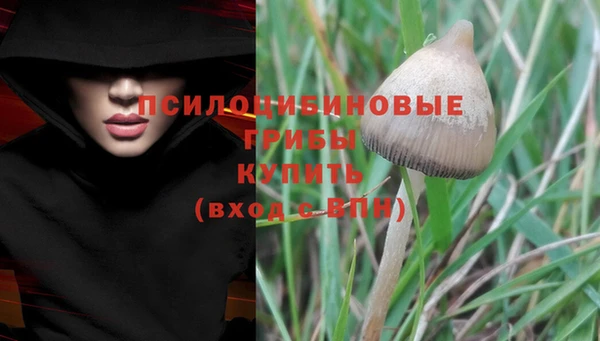стаф Белоозёрский