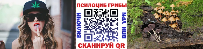 Купить закладки  Выборг  Псилоцибиновые грибы MAGIC MUSHROOMS 