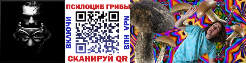 Псилоцибиновые грибы Psilocybe Выборг
